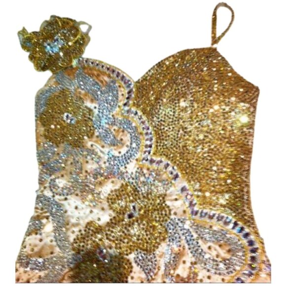 Couture Swarovski Crystals Luxury Flowers Fringes Designer Cocktail Runway Dress - Picture 6 of 12